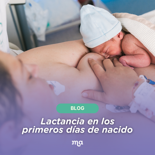 Lactancia en los primeros días de nacido, mamá amamantando a su recién nacido