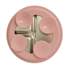 Plato de entrenamiento Dual - Acero Inoxidable con Base de Silicona